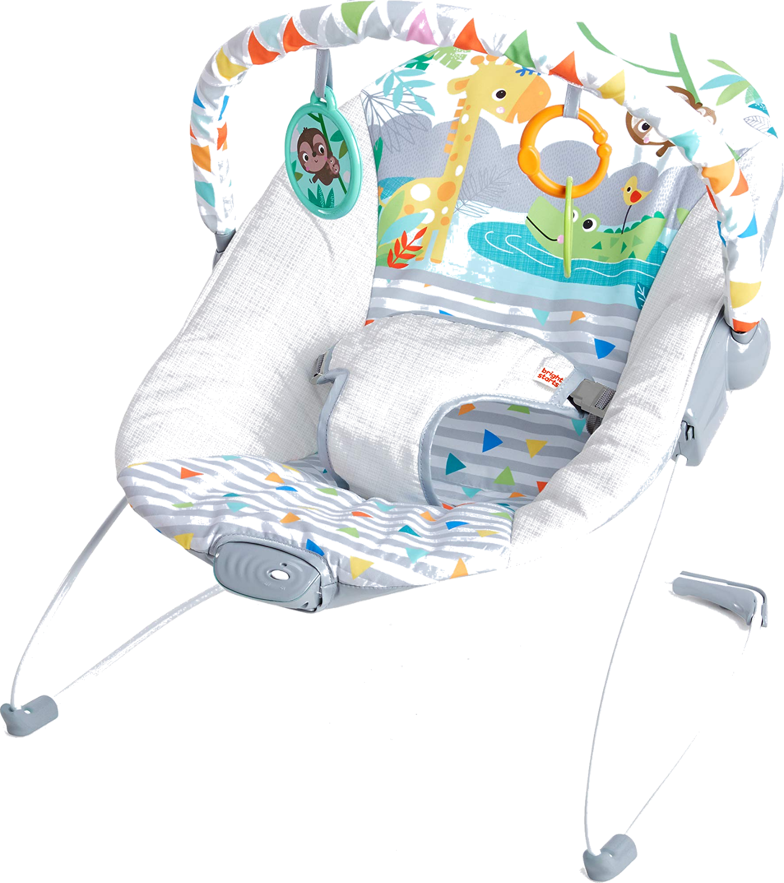 Bright Starts Soothing Vibrations infant bouncer - product photo